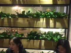 大堂-潮堂(环球金融中心店)