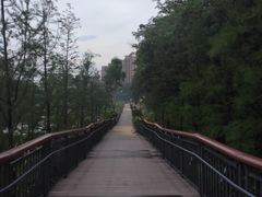 -金山公园