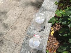 -麦当劳(红荔西店)