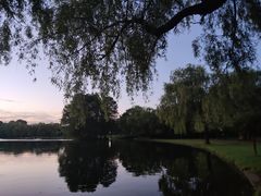 -上海共青森林公园