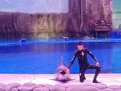 -华夏文旅海洋公园