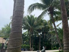 -三亚湾海居铂尔曼度假酒店