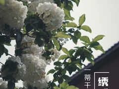 -钱王祠