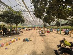 -西部长青自然儿童乐园