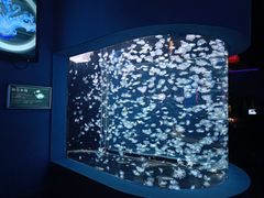 -太平洋海底世界