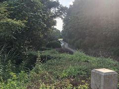 -青龙山公园