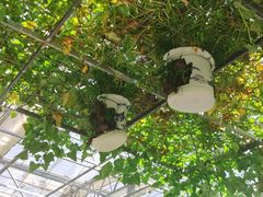 -中国农科院国家农业科技展示园