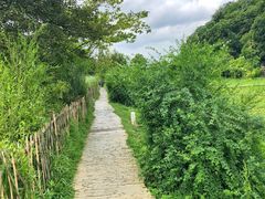 -贵阳市花溪国家城市湿地公园