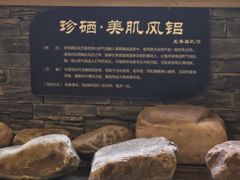 -8号公馆(金川街店)