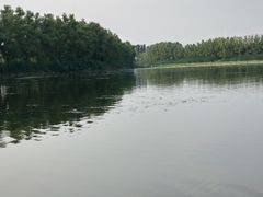 -白洋淀景区