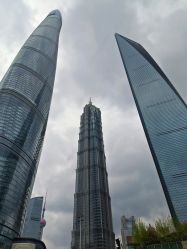 -上海金茂君悦大酒店·宴会厅