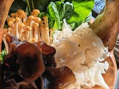 甄选菌蔬拼盘-大隐·成都火锅Bistro(合生麒麟新天地店)