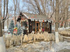 -长白岛森林公园