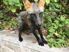 -九鼎铁刹山风景区