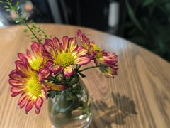 -gaga(深圳南山益田假日广场店)