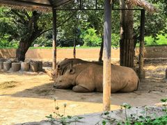 -西安秦岭野生动物园