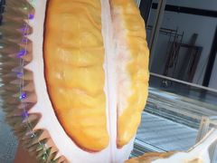 -都念榴莲·城市榴莲