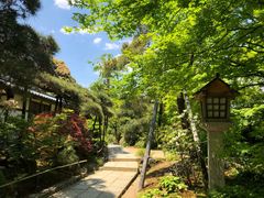 -常寂光寺