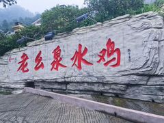 -老幺泉水鸡