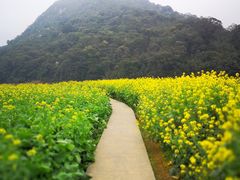 -广州市石门国家森林公园