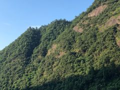 -三清山希尔顿度假酒店