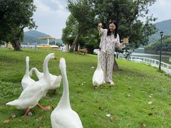 -宁波九龙湖开元度假村