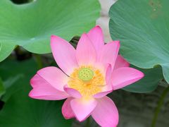 -哈尔滨极乐寺