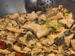 -百岁鱼(人民路店)