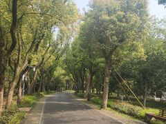 -东湖落雁景区