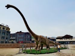 -恐龙探索乐园(磁器口店)