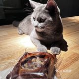 这么丑的面包🥯你居然还不知道🤷
