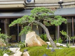 -忆江南·临江鱼馆