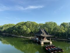 -鲁镇