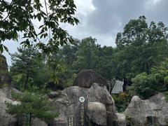 -大围山国家森林公园