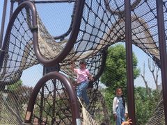 -枫香湖儿童公园