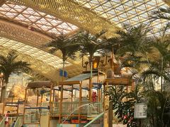 -杭州开元森泊度假乐园