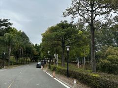 -福建鲤鱼洲酒店