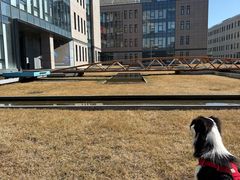 -山下C5cafe(惠通时代广场店)