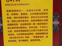 -西安市广仁寺