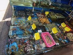 -船奇蒸汽海鲜·闽菜(八市海鲜总店)