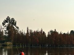 -白鹭湾湿地公园