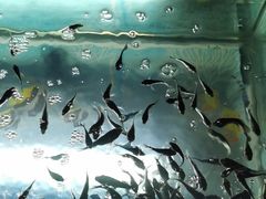 -汤乐汇•足道•SPA生活馆