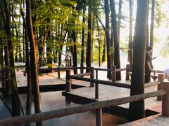 -东湖落雁景区