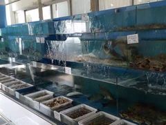-宏源鑫海鲜餐厅·海景婚宴厅(石老人店)