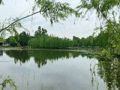 -白鹭湾湿地公园