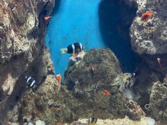 -福州罗源湾海洋世界旅游区
