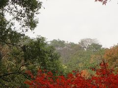 -岳麓山风景名胜区