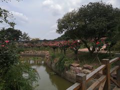-龙寺生态园