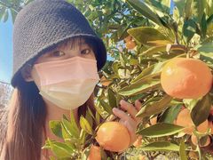 -前小桔亲子创意农场·草莓采摘·露营烧烤