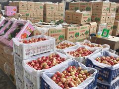 -东方鼎信农副产品交易中心